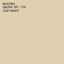 #E0CFB3 - Just Right Color Image
